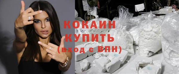 стафф Семилуки