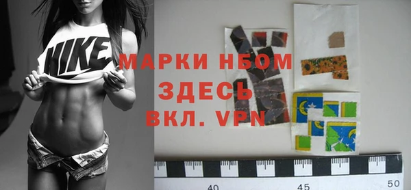 индика Сафоново