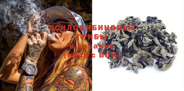 стафф Семилуки