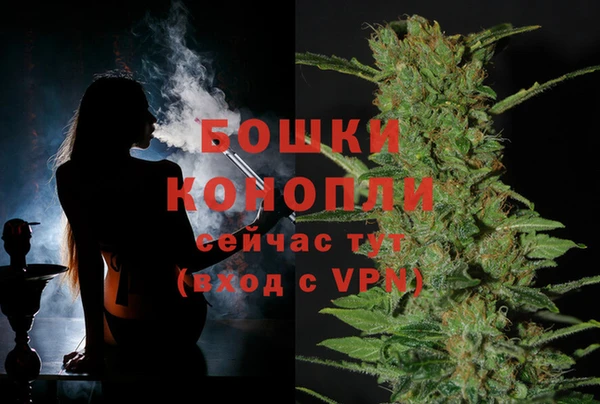 ПСИЛОЦИБИНОВЫЕ ГРИБЫ Семикаракорск