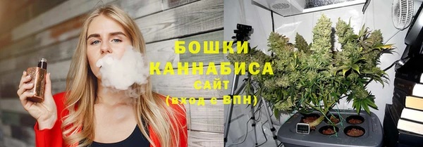 стафф Семилуки