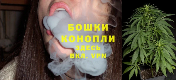 стафф Семилуки