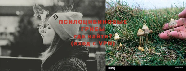 ПСИЛОЦИБИНОВЫЕ ГРИБЫ Семикаракорск