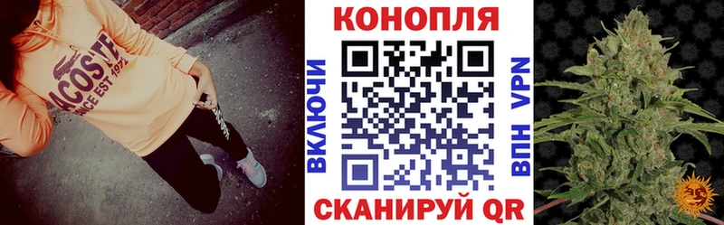 Канабис SATIVA & INDICA  Купить где  Клин 